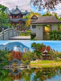 深圳·四海公園落羽杉，美如油畫世界