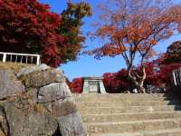 邂逅盛岡城跡公園，探尋歷史的雪影