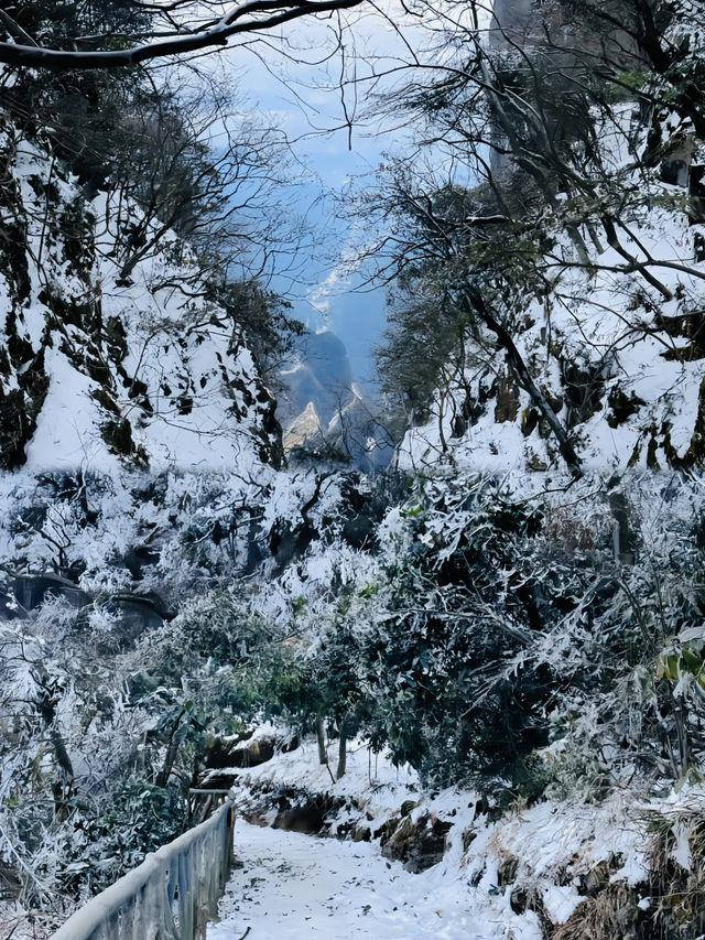 天門山雲霧繚繞，仙境般夢幻