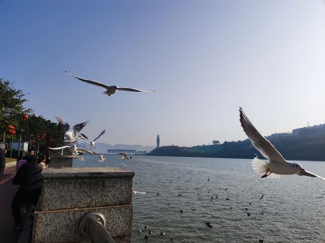 雅安旅遊小眾路線