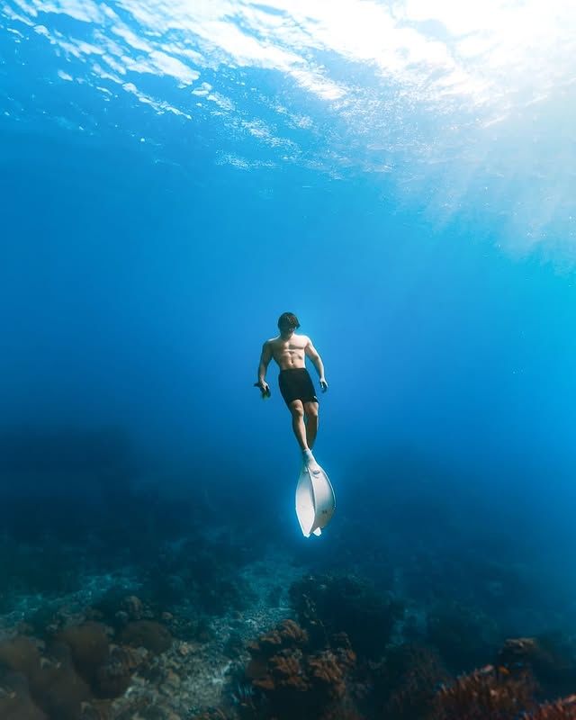 斐濟 | 馬洛洛島 潛水 & 浮潛聖地