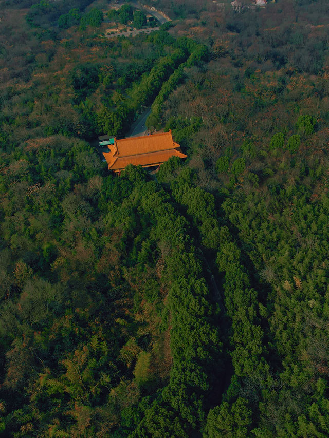 比起雞鳴寺，我更愛這個1500年歷史南朝佛寺
