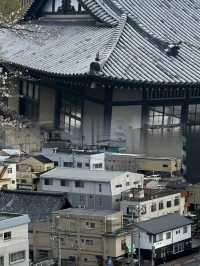 甲府—富士山麓的歷史華章