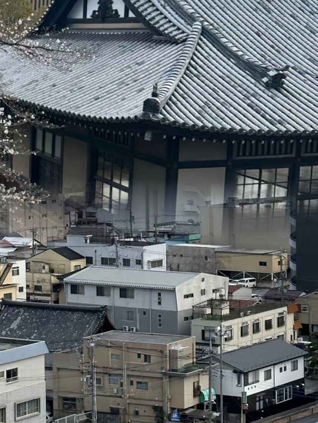 甲府—富士山麓的歷史華章