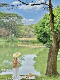 深圳嘅春天，我都想攤喺湖邊野餐hea吓