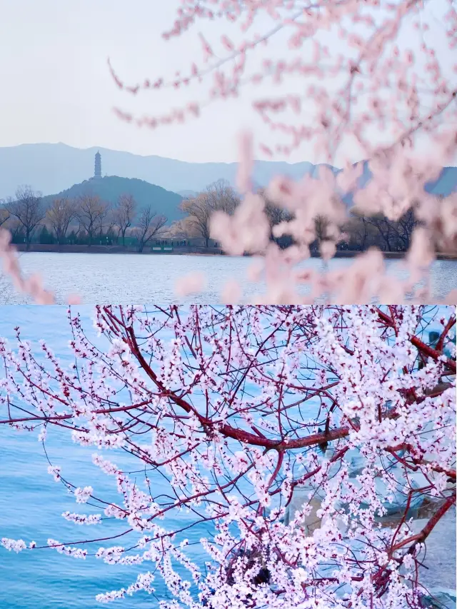 人生建議：北京3月，一定要去一次頤和園。