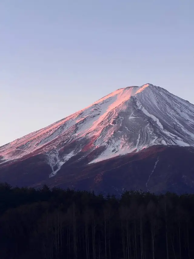 人均4k玩轉日本 性價比超高攻略
