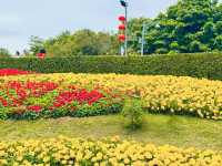 遊覽後海中心河公園