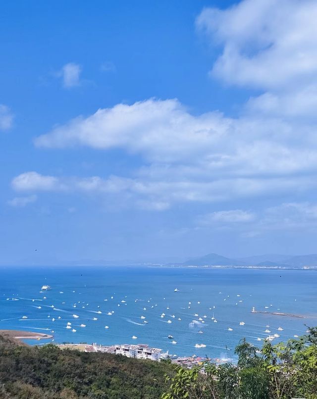 椰風海韻間，邂逅海口的多彩魅力