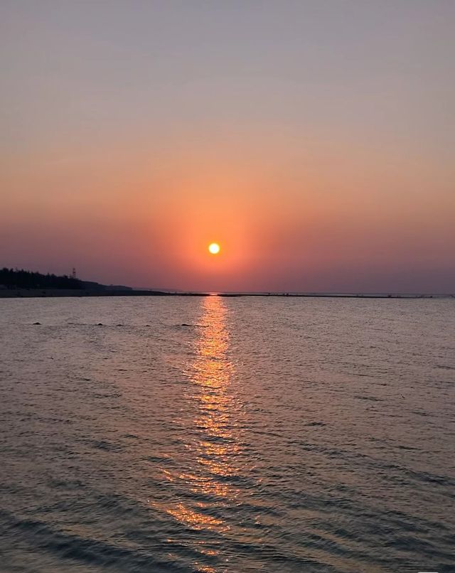 椰風海韻間，邂逅海口的多彩魅力