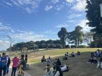 深圳南山區著名海濱路景點：南深圳灣公園，適合拍照打卡親子觀光旅遊。  