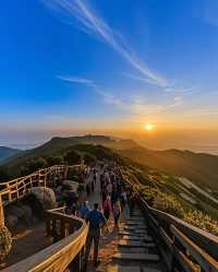 闖入貓兒山，邂逅綠野仙蹤