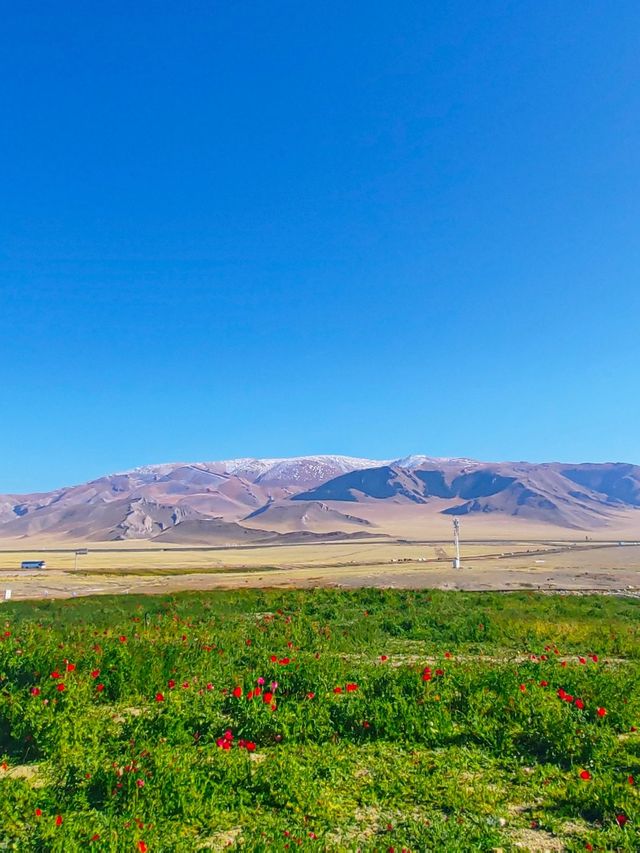 阿勒泰地區-博爾塔拉 每一片山水都值得你駐足