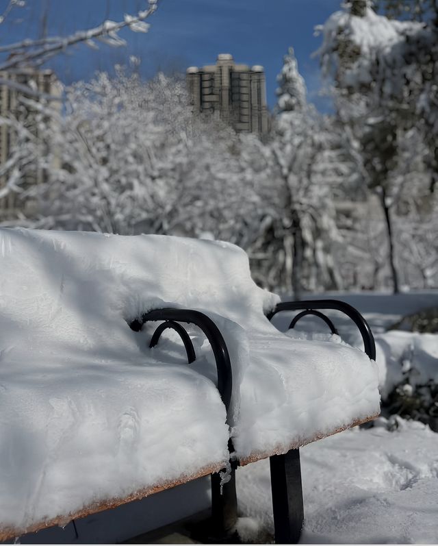 2025年的第一場春雪～美呆啦！