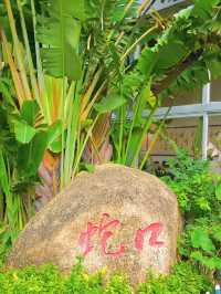 春回大地，百花齊放