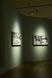 成都美術館 · 去看幾個有趣的展