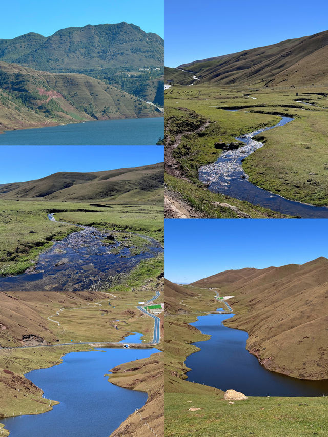 這真的是雲南 童話世界裡的大海草山