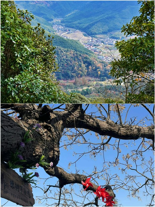 寧波四天受罪已回  說說真心大實話