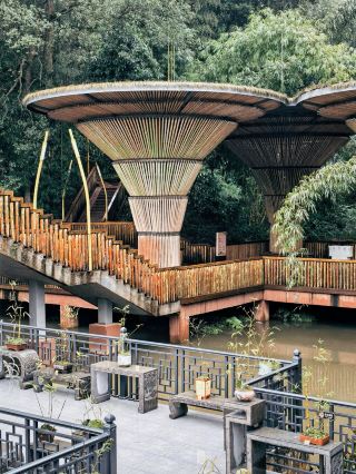 Shunan Bamboo Sea: Can you unlock its mystical green code?
