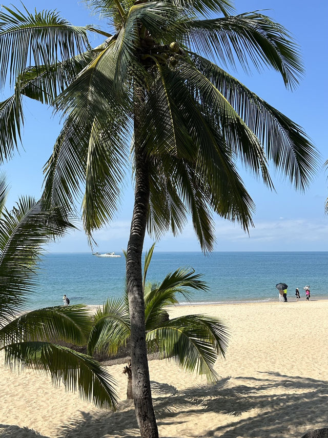 3 Days Itinerary in Tianya, Sanya 🇨🇳 