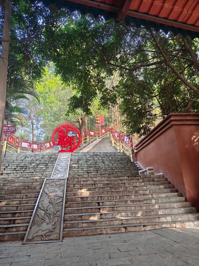 打卡東莞觀音山～來一場與自然的詩意邂逅～