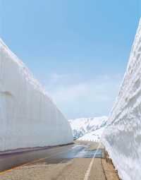 6月也能看雪？日本大雪谷開山