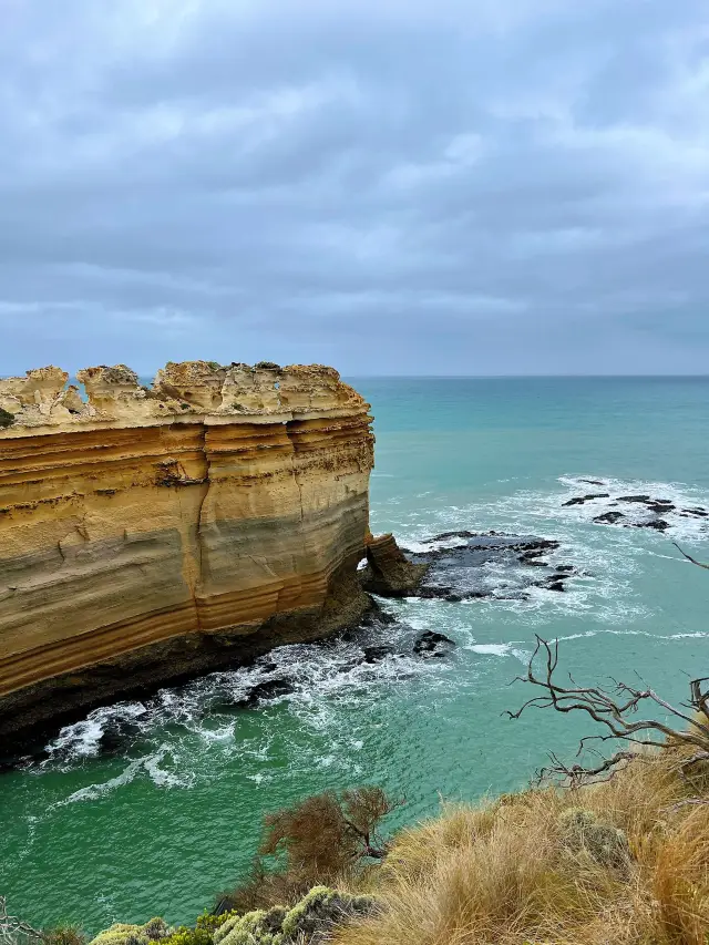 호주 3일 여행|1인당 4천 위안으로 즐거운 여행