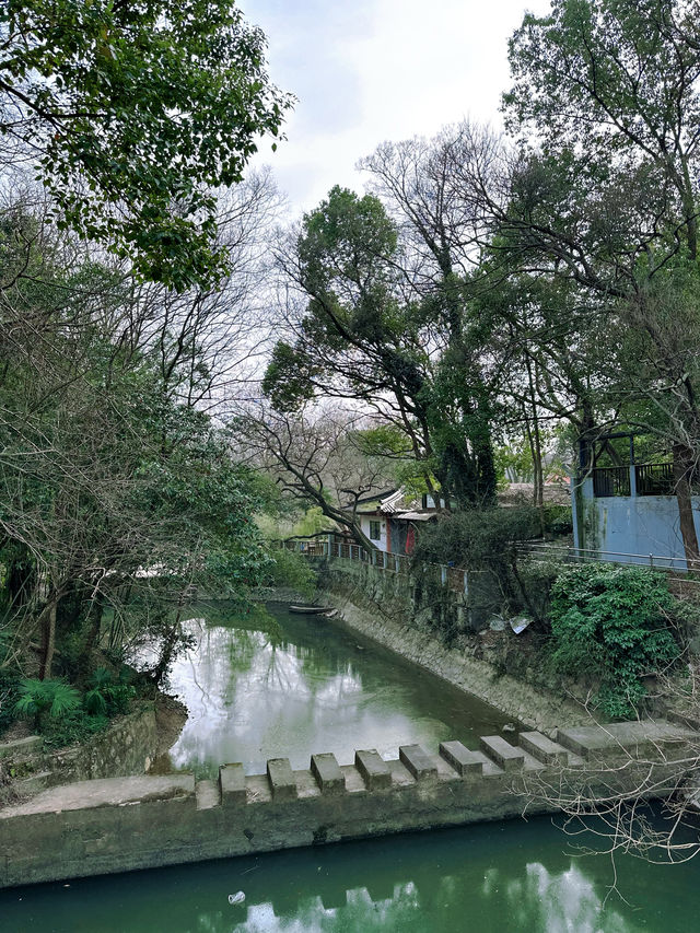 南京春日遊記！闖入現實版動漫賞櫻地
