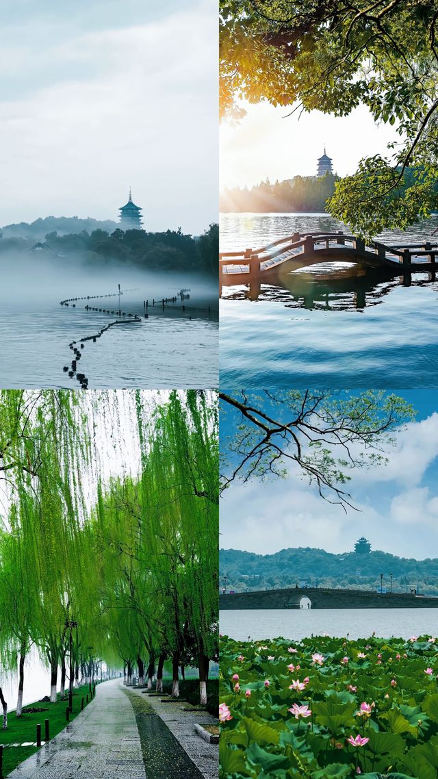西湖：人間天堂，詩意棲居