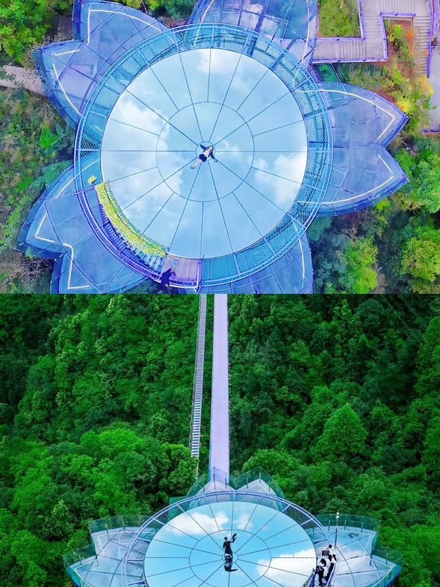 這個樂園像極了迪士尼。