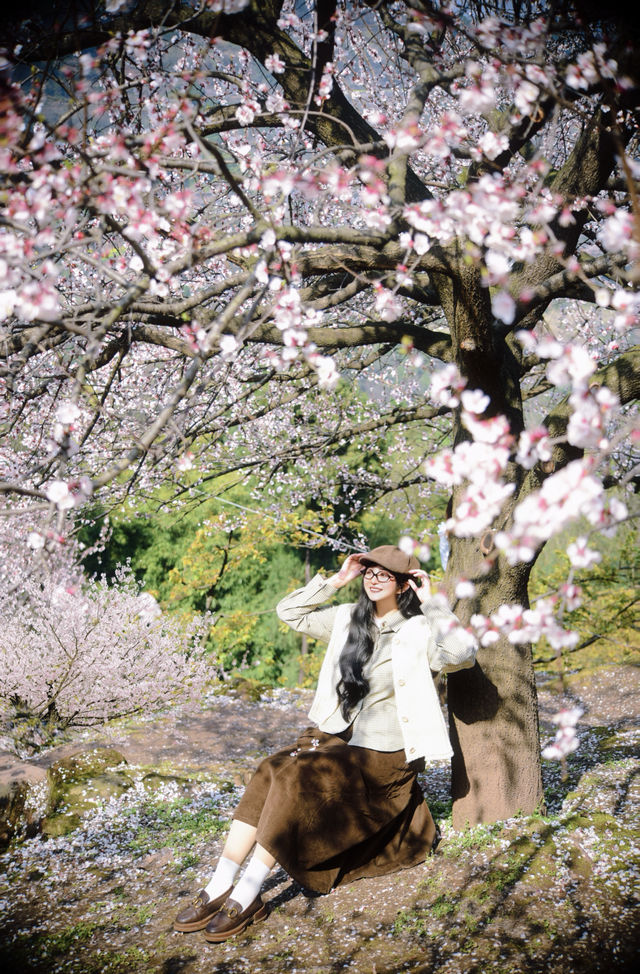 震驚！成都春天漫山遍野的花海！