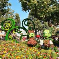 上海ディズニーランド！