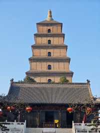 多角度賞花打卡攻略：與經典大雁塔同框