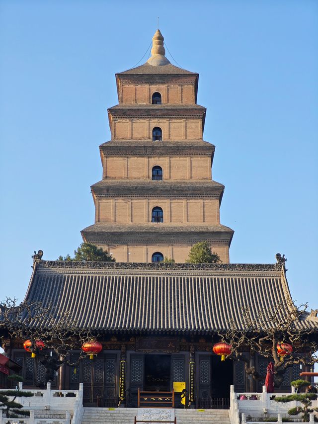 多角度賞花打卡攻略：與經典大雁塔同框