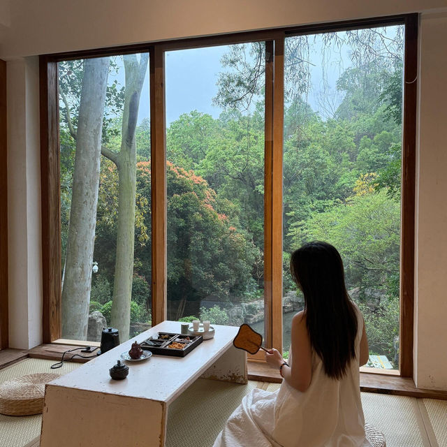 🍵深圳新晉擺爛聖地 | 筆架山公園茶館✨