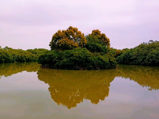 Nansha Wet Land: Pearl River Delta Relaxation Oasis