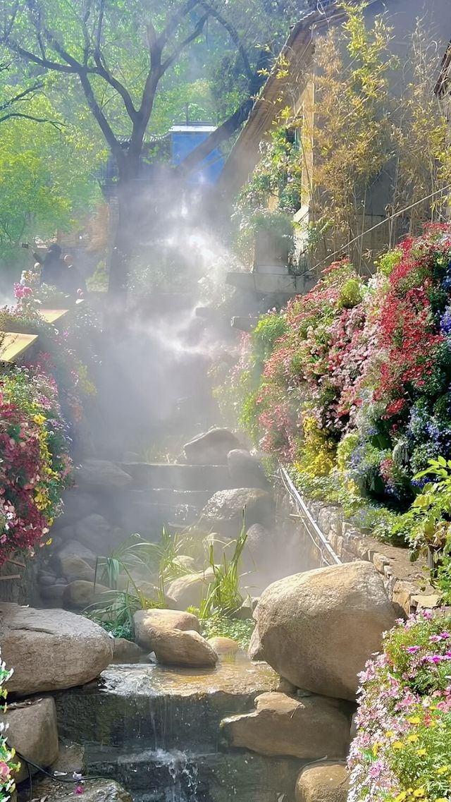 淄博一日遊