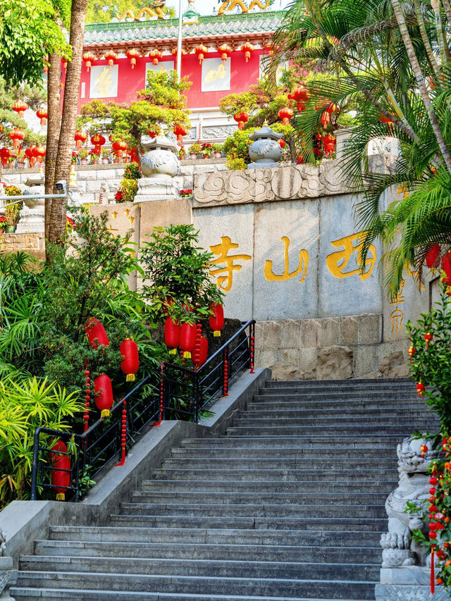 💕今年最驚喜的小城！我要為中山瘋狂打 call！