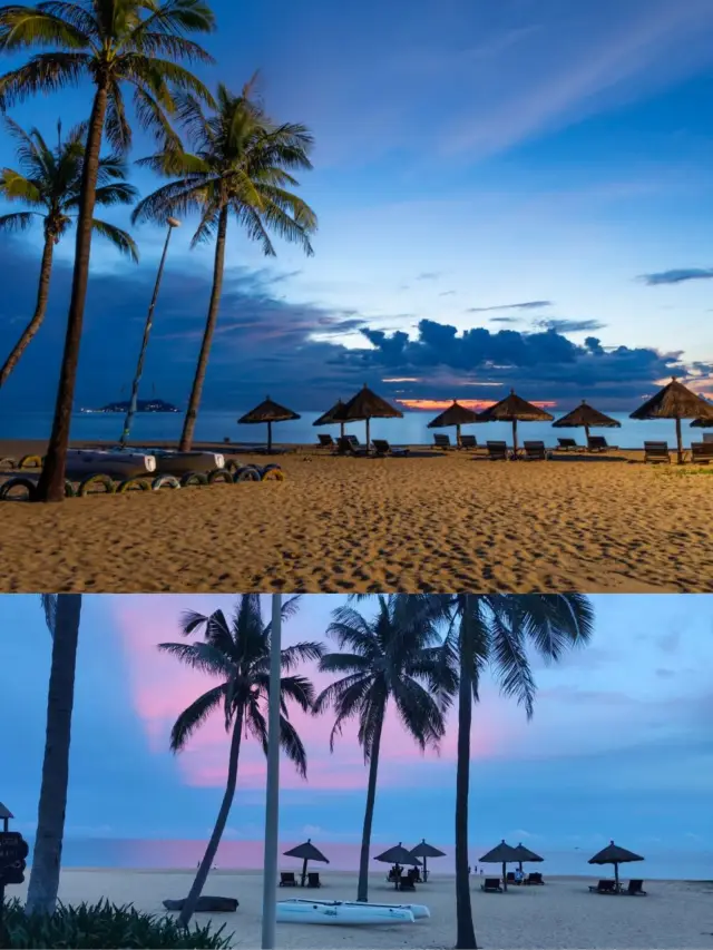 Find a Secluded Retreat Surrounded by Coconut Trees