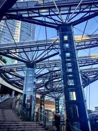 夜色之丘，城市流光：六本木小記
