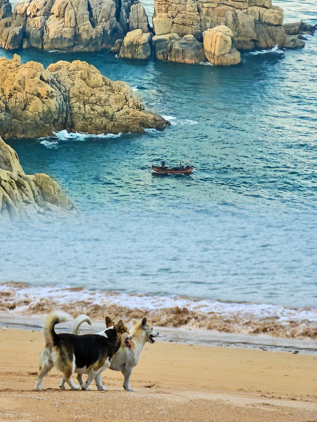 咦！這是江浙滬的小瑞士海島？