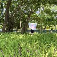深圳·去一次就會愛上的公園🍃中心公園
