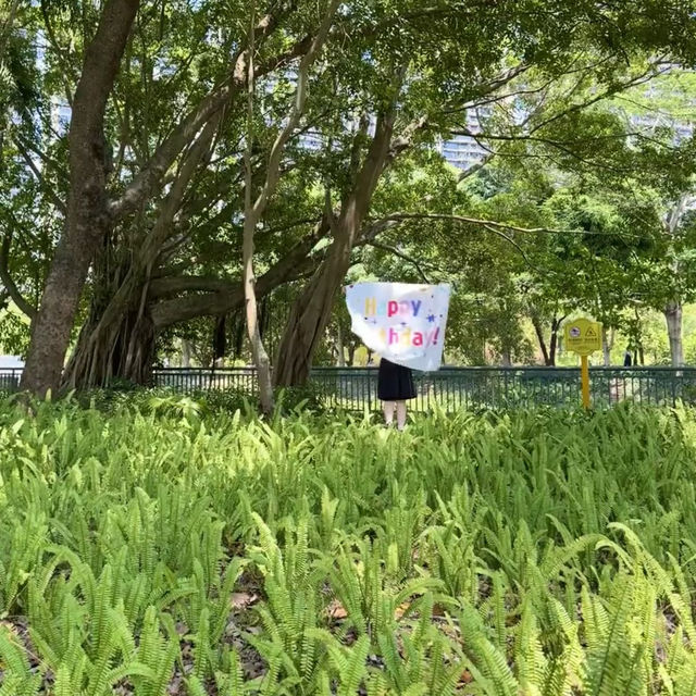 深圳·去一次就會愛上的公園🍃中心公園