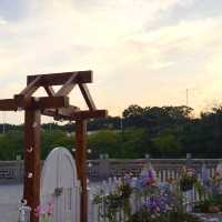闖入莫奈花園！廣州COME'R來者茶咖·藝術空間 