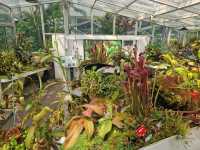 Dream Day at Chenshan Botanical Gardens