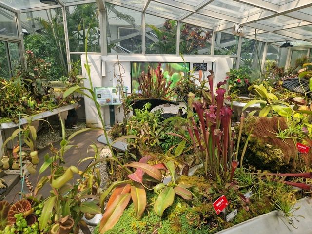 Dream Day at Chenshan Botanical Gardens