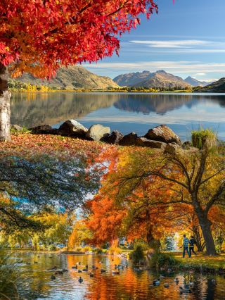 Don't miss out! New Zealand's autumn scenery in May is breathtaking!