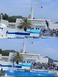 來鴨川海洋世界，展開一場奇妙的藍色之旅吧！