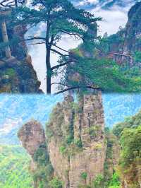 你仲未睇過瑤山㗎嘛