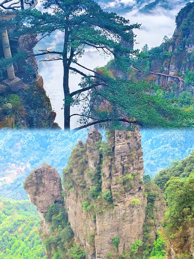 你仲未睇過瑤山㗎嘛